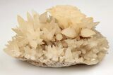 Dogtooth Spar Calcite Crystal Cluster - China #205502-1
